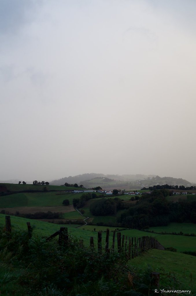 L1010064.jpg