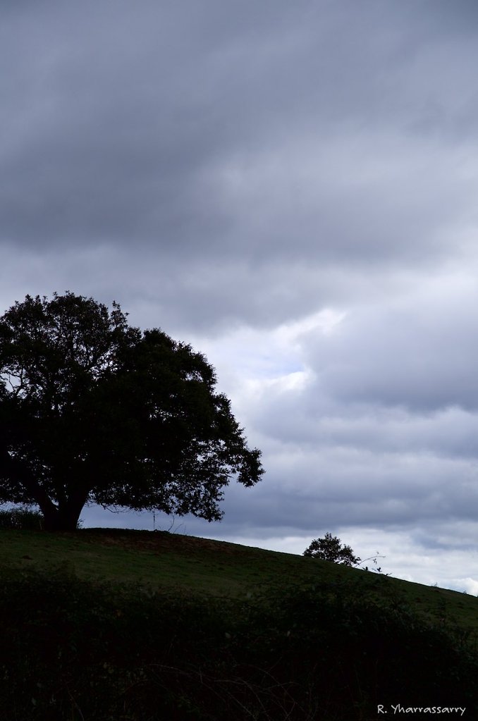L1010035.jpg