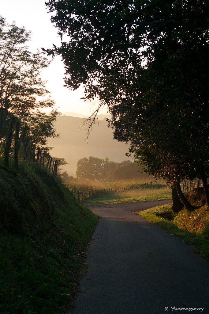 L1060096.jpg