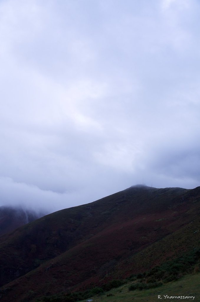 L1010426.jpg