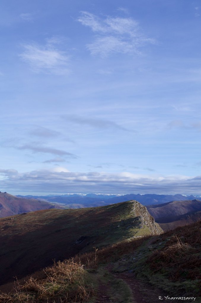 L1010060.jpg