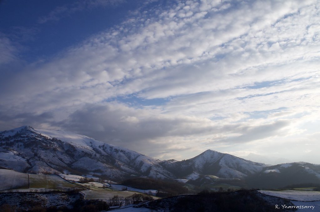L1000017.jpg
