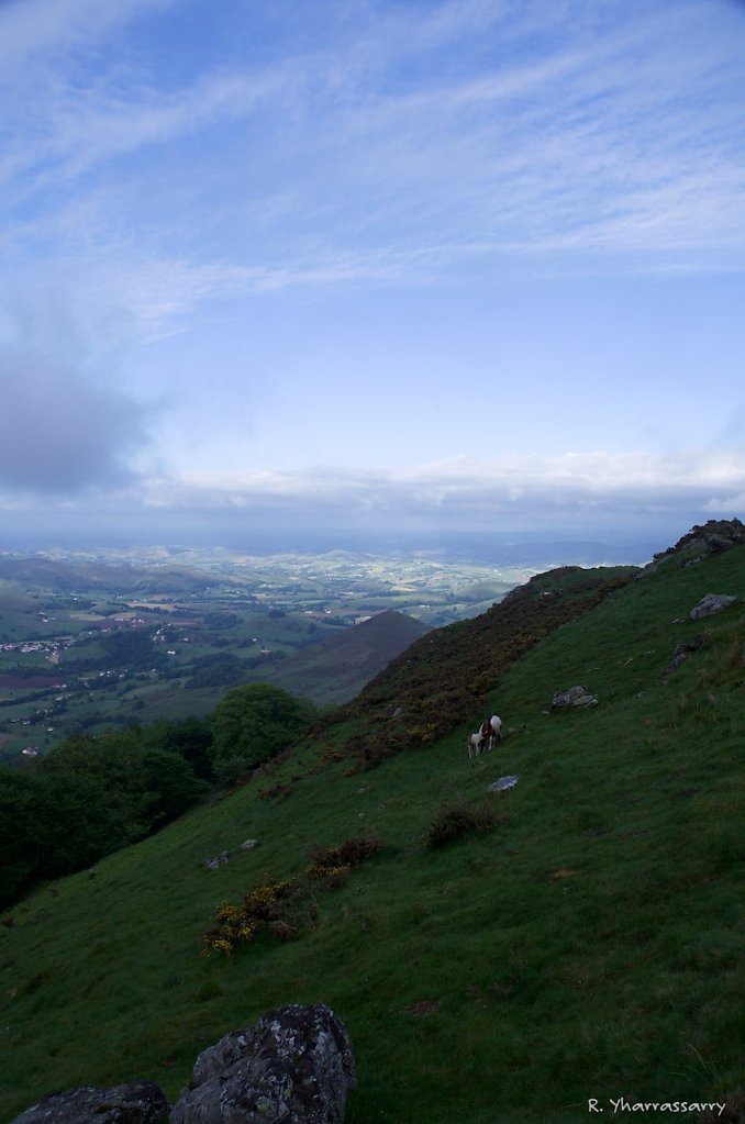 L1010299.jpg