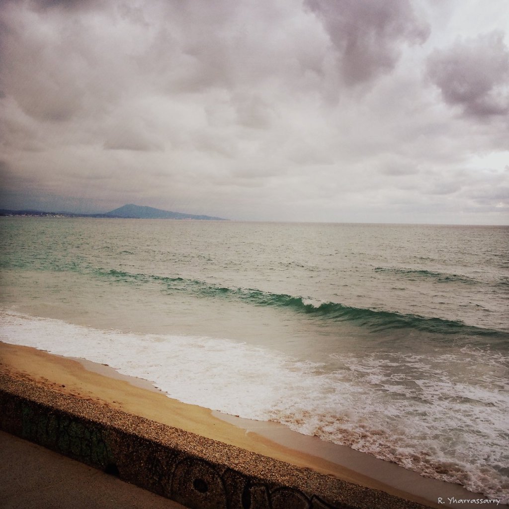 IMG-0010.jpg