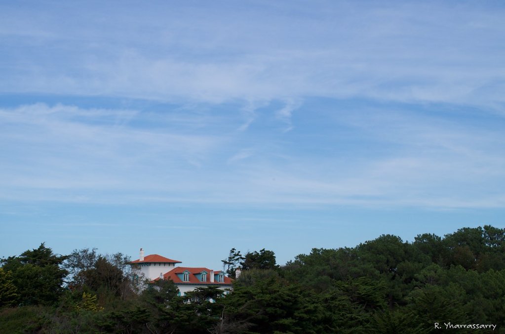 L1020109.jpg