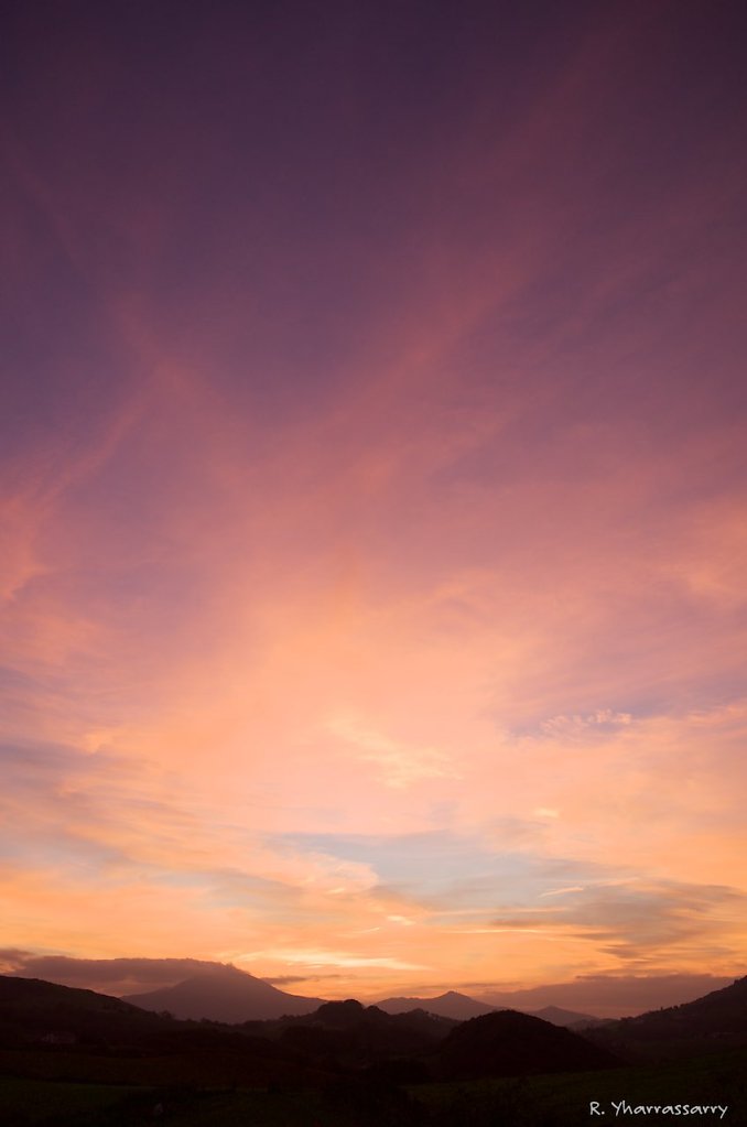 L1020126.jpg