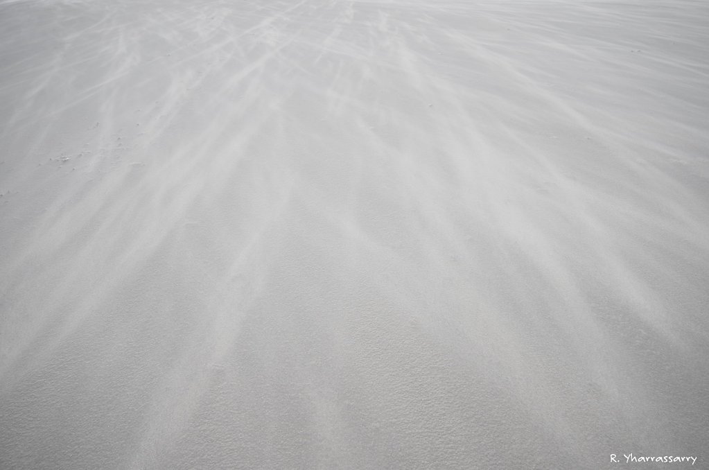 L1020875.jpg