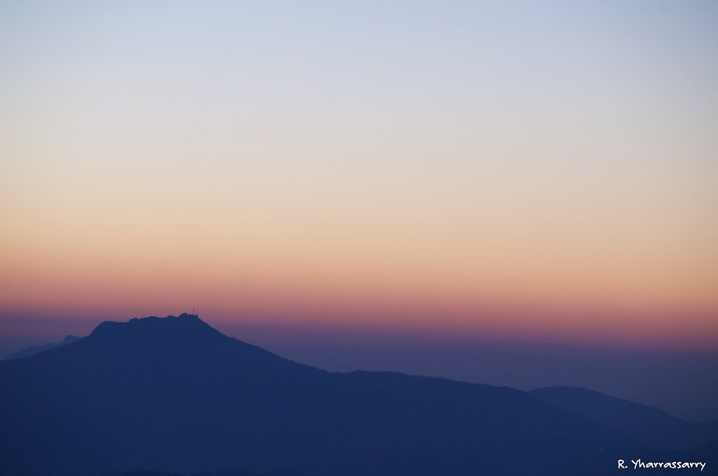 L1031749.jpg