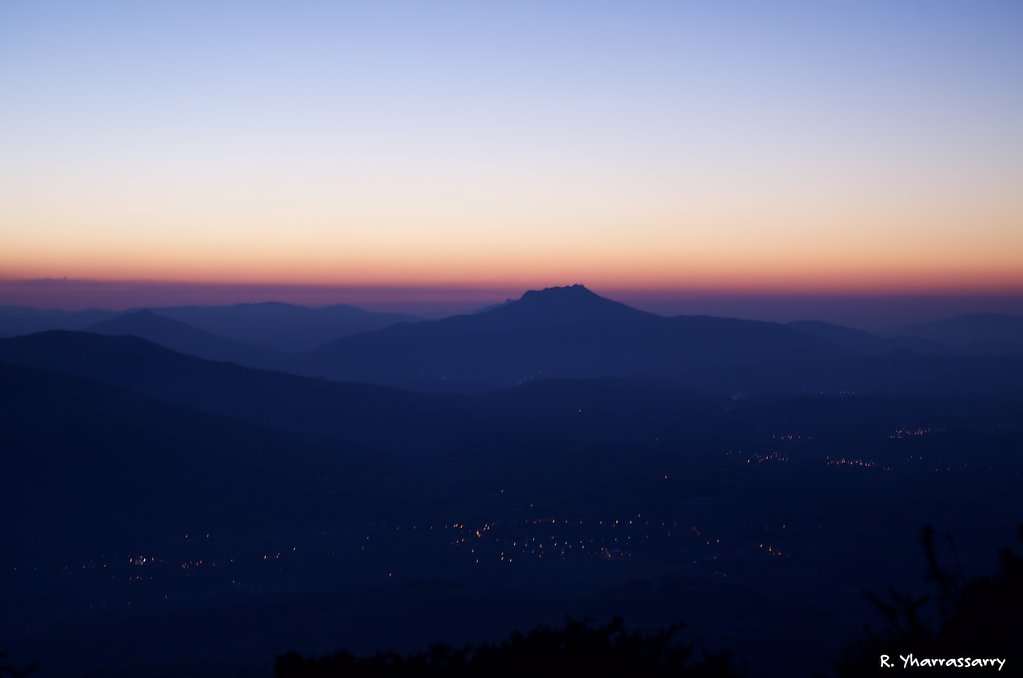 L1031755.jpg
