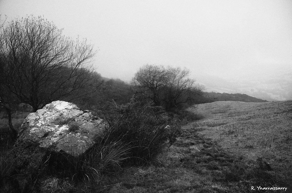 L1010021.jpg