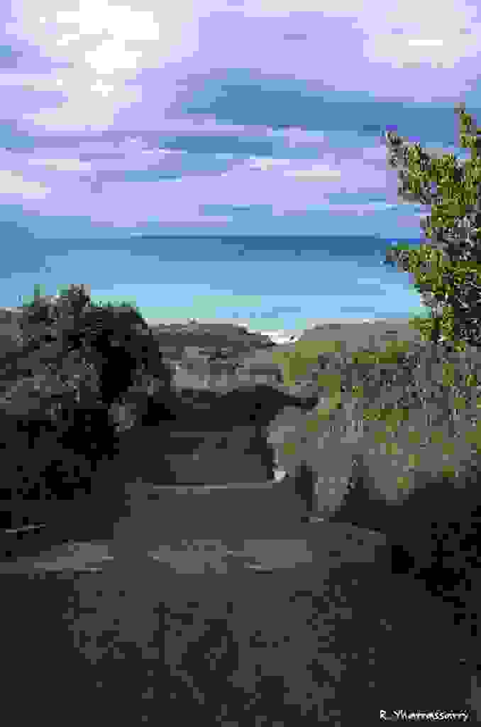 L1040093.jpg