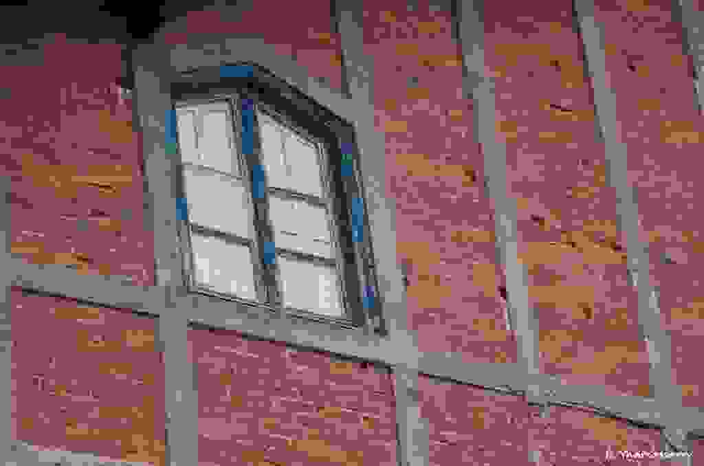 L1040830.jpg