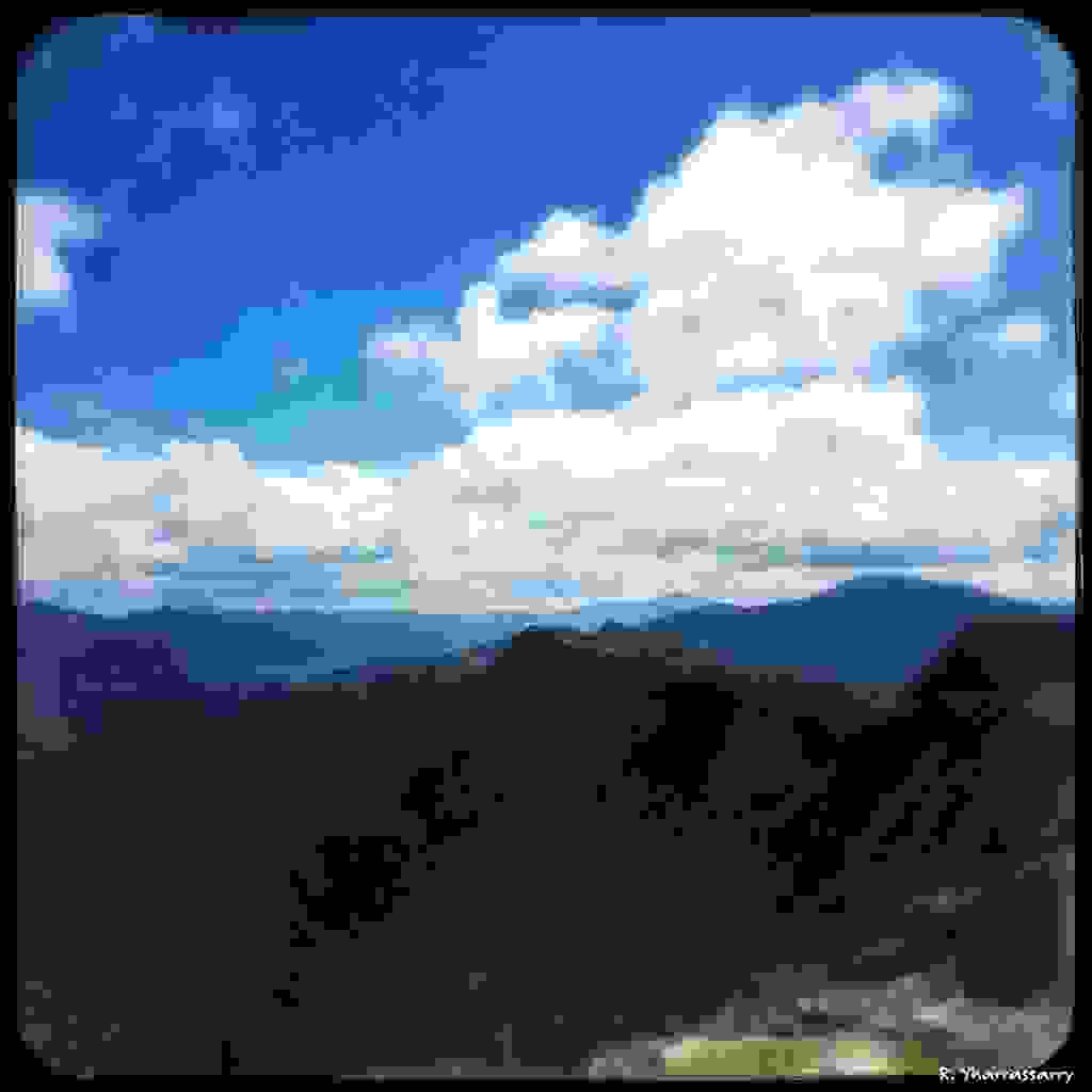 RHFM8398.jpg