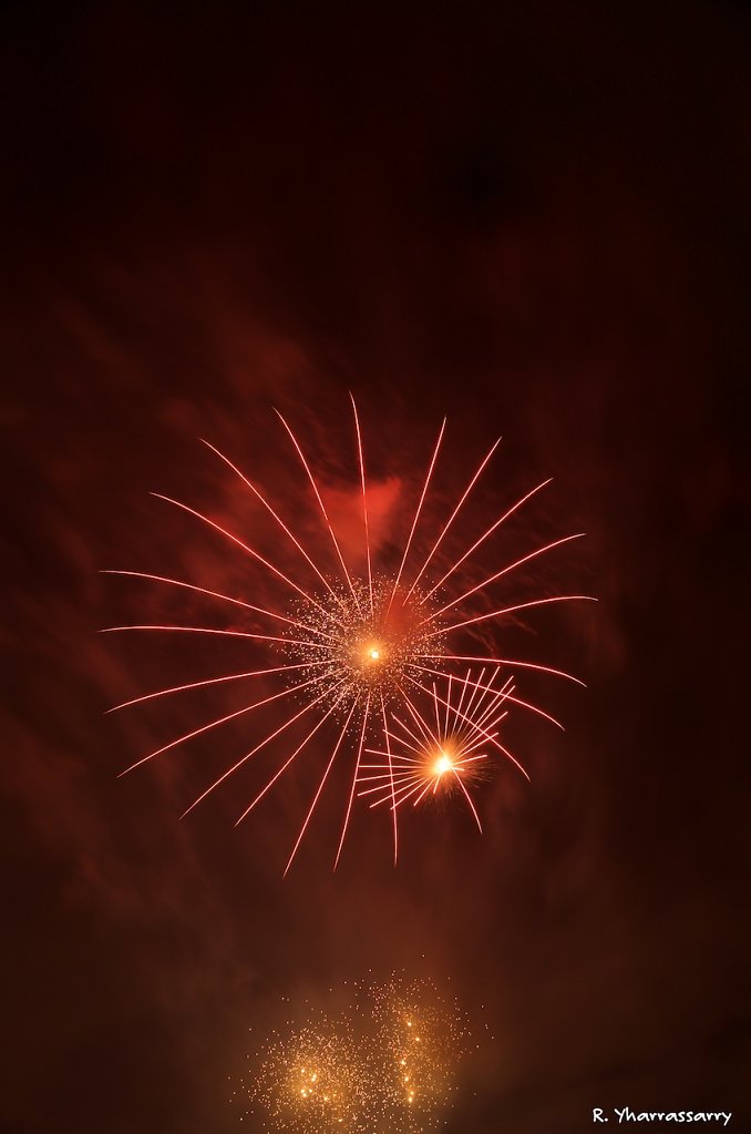 L1010025.jpg