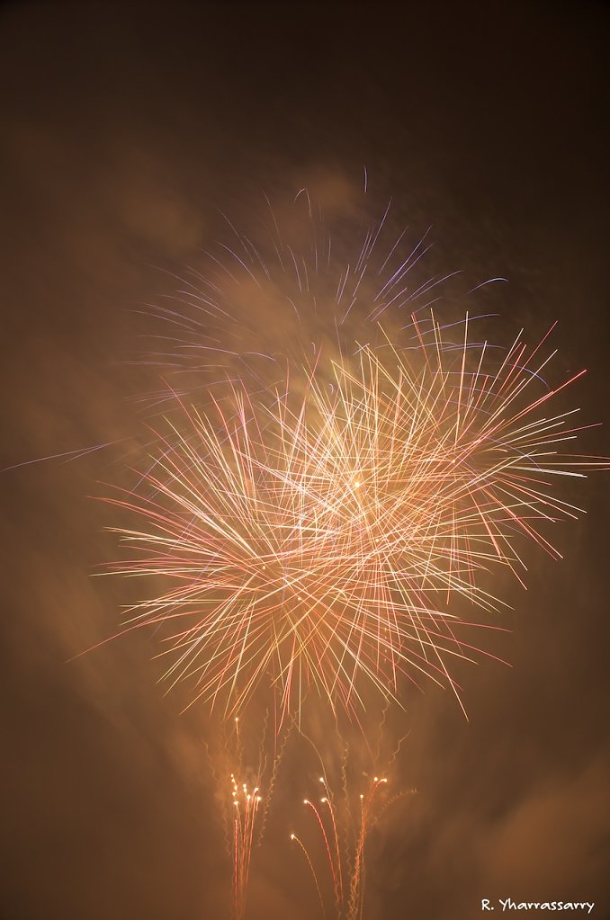 L1010032.jpg