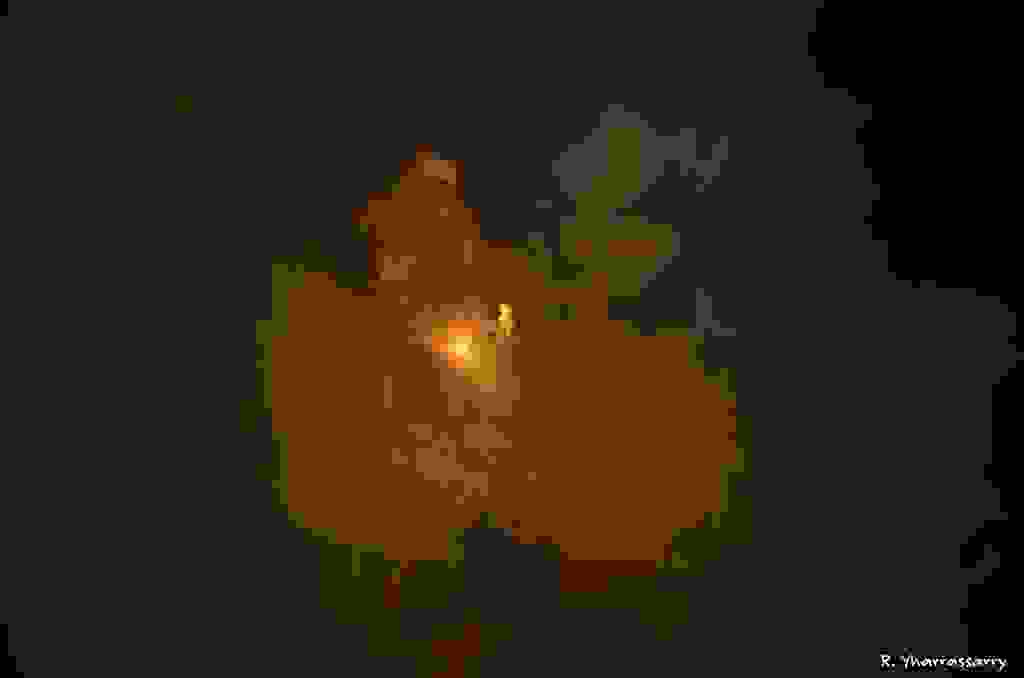 L10100361.jpg
