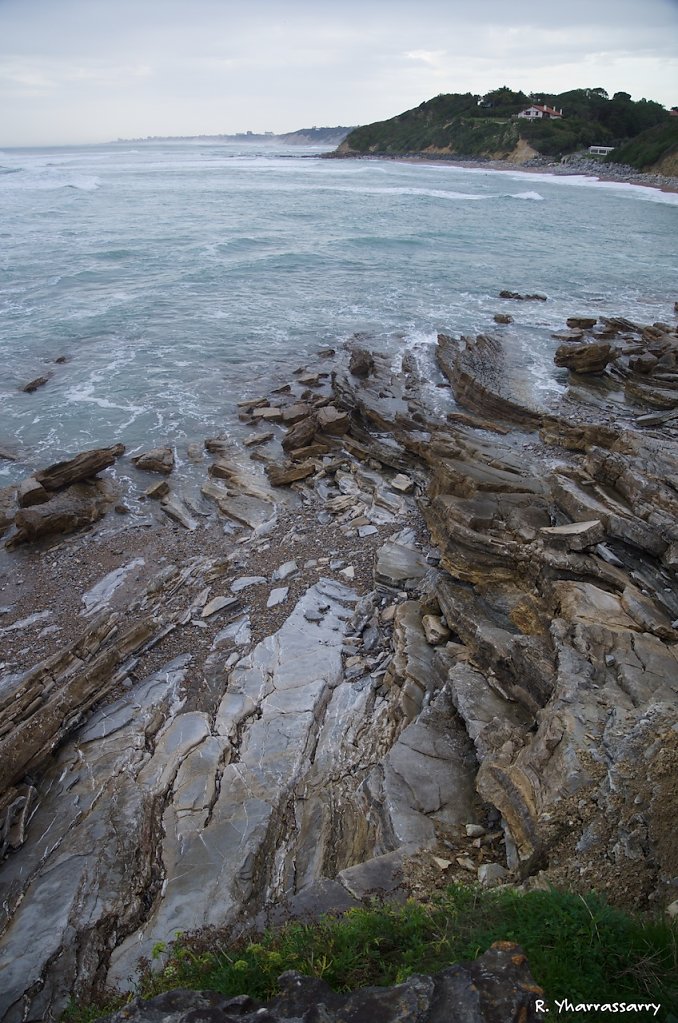 L1050035.jpg