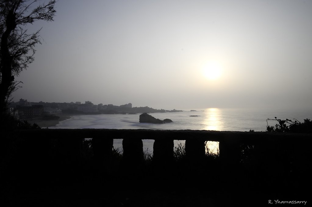 L1052474.jpg