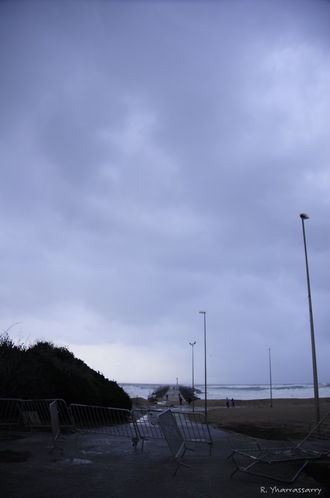 L1053744.jpg