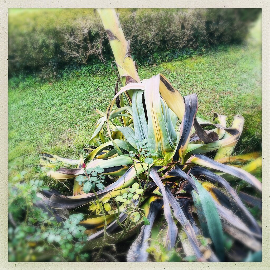 HipstamaticPhoto-658832790149812.jpeg