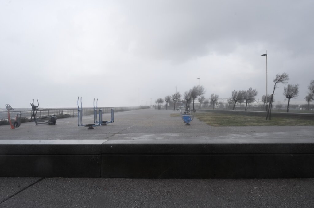 L1055080.jpeg