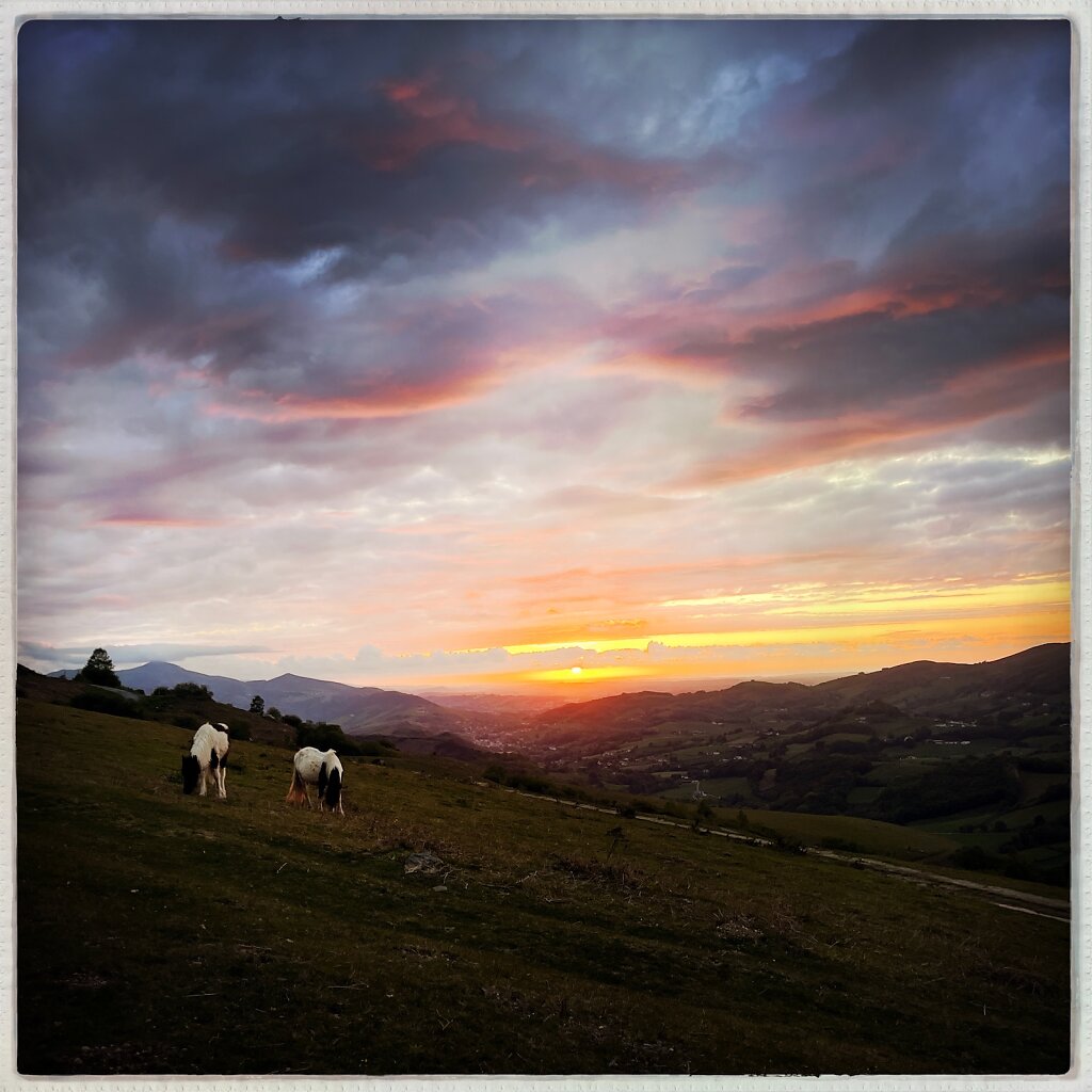 HipstamaticPhoto-736023749926479.jpeg